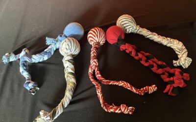 Humanitarna akcija za Boby DM