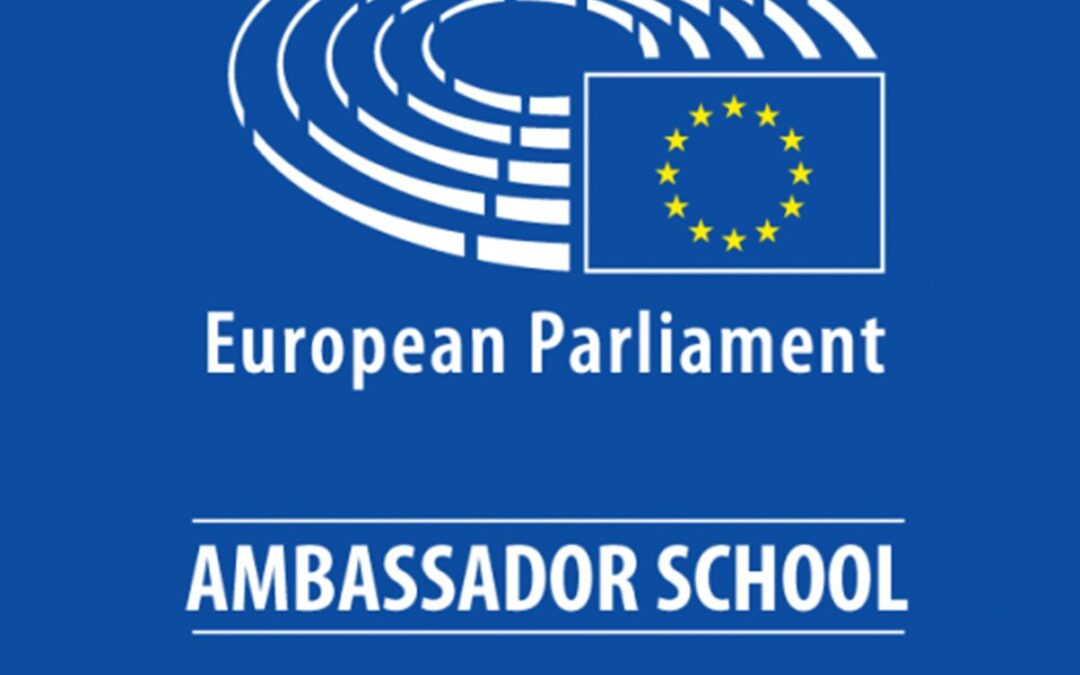 Participacija mladih