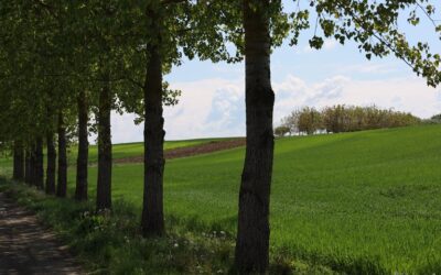 Dan planeta Zemlje i Mala škola ribolova